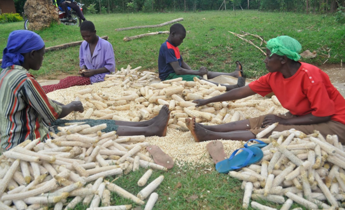 POLICY UNCERTAINTY HAMPERS FARMERS AND TRADERS AHEAD OF AGRI BILLS VOTE