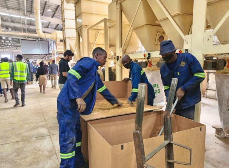 HH COMMISSIONS $30 MILLION TOBACCO PROCESSING PLANT 