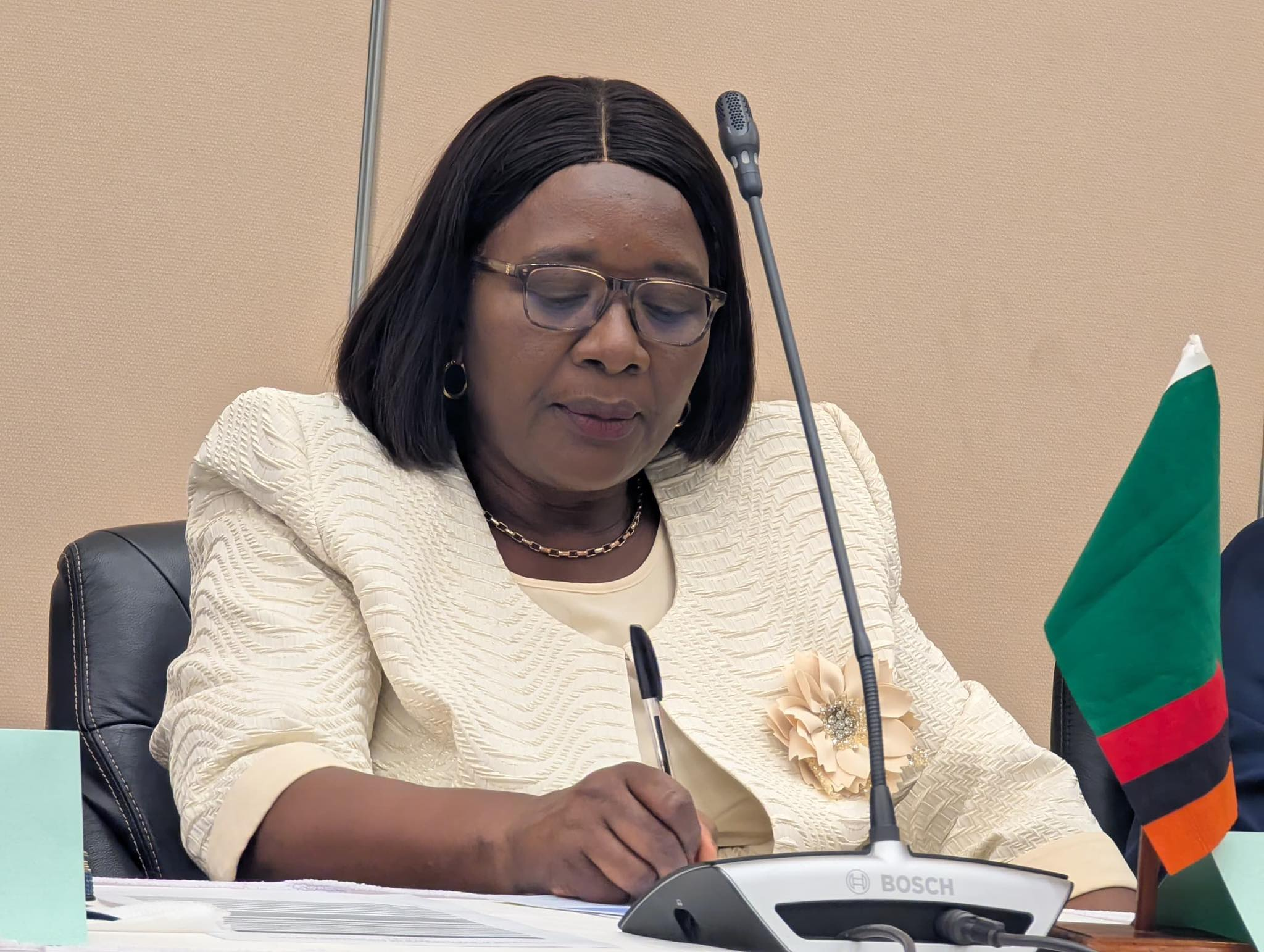 "PRIORITIZATION OF ZAMBIAN CITIZENS IN EMPLOYMENT ALREADY ENFORCED" -TAMBATAMBA